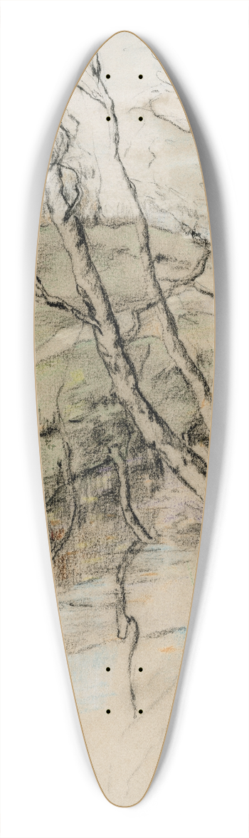 Theo van Hoytema - Een bosbeek 39.3 inch art pintail longboard deck