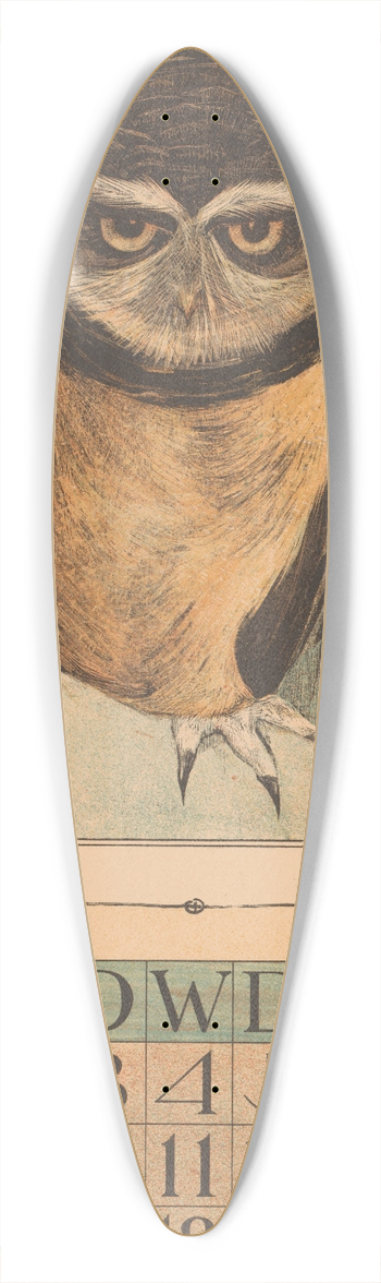 Theo van Hoytema - Kalenderblad januari met uil 39.3 inch art pintail longboard deck