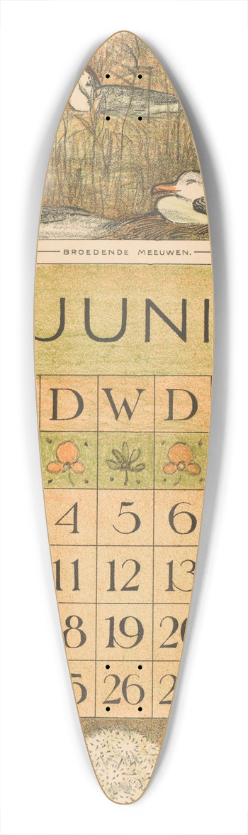 Theo van Hoytema - Kalenderblad juni met broedende meeuwen 39.3 inch art pintail longboard deck