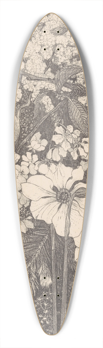 Theo van Hoytema - Lente 39.3 inch art pintail longboard deck