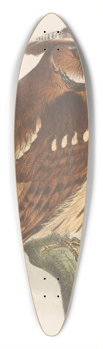 Theo van Hoytema - Owl On A Branch (Bubo Lettii) 39.3 inch art pintail longboard deck