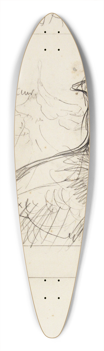 Theo van Hoytema - Pauw, januari 39.3 inch art pintail longboard deck