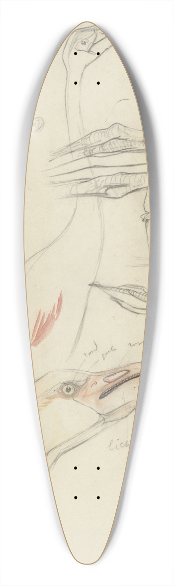 Theo van Hoytema - Studies van een flamingo 39.3 inch art pintail longboard deck
