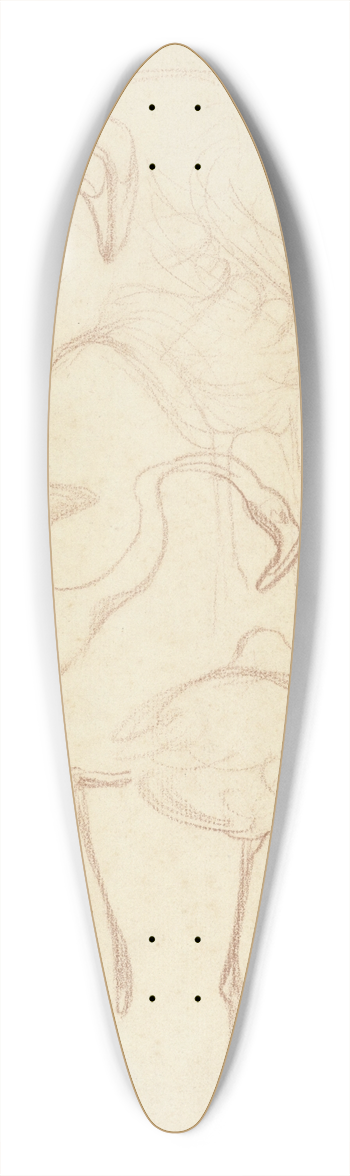 Theo van Hoytema - Studies van flamingos 39.3 inch art pintail longboard deck