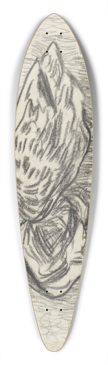 Theo van Hoytema - Twee eenden 39.3 inch art pintail longboard deck