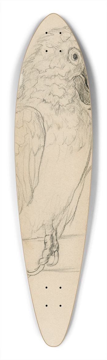 Theo van Hoytema - Twee papegaaien 39.3 inch art pintail longboard deck