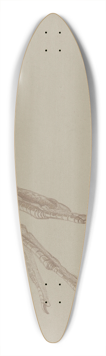 Theo van Hoytema - Vogelpoot 39.3 inch art pintail longboard deck