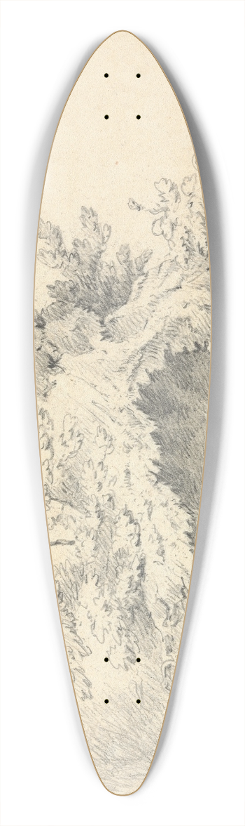 Thomas Bradshaw - Sketch of Shrubbery 39.3 inch art pintail longboard deck