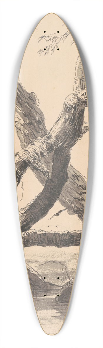 Thomas Cole - Tree Trunks 39.3 inch art pintail longboard deck