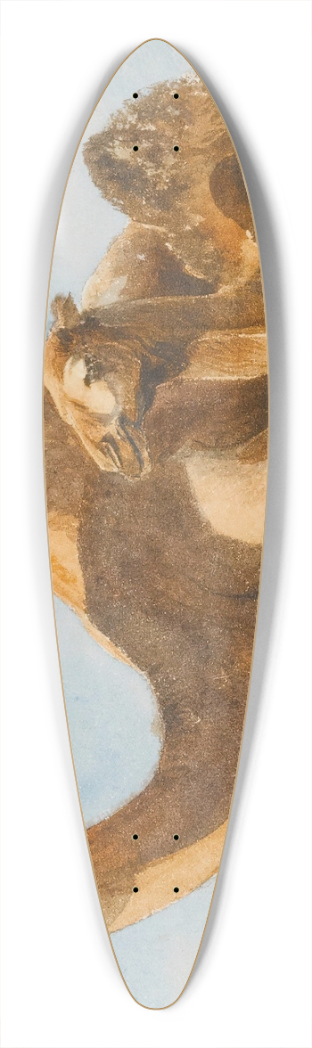 Thomas Hartley Cromek - Two Camels 39.3 inch art pintail longboard deck