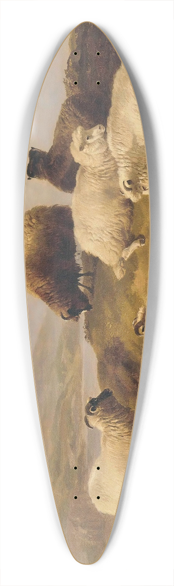 Thomas Sidney Cooper - Sheep Resting In A Highland Landscape 39.3 inch art pintail longboard deck