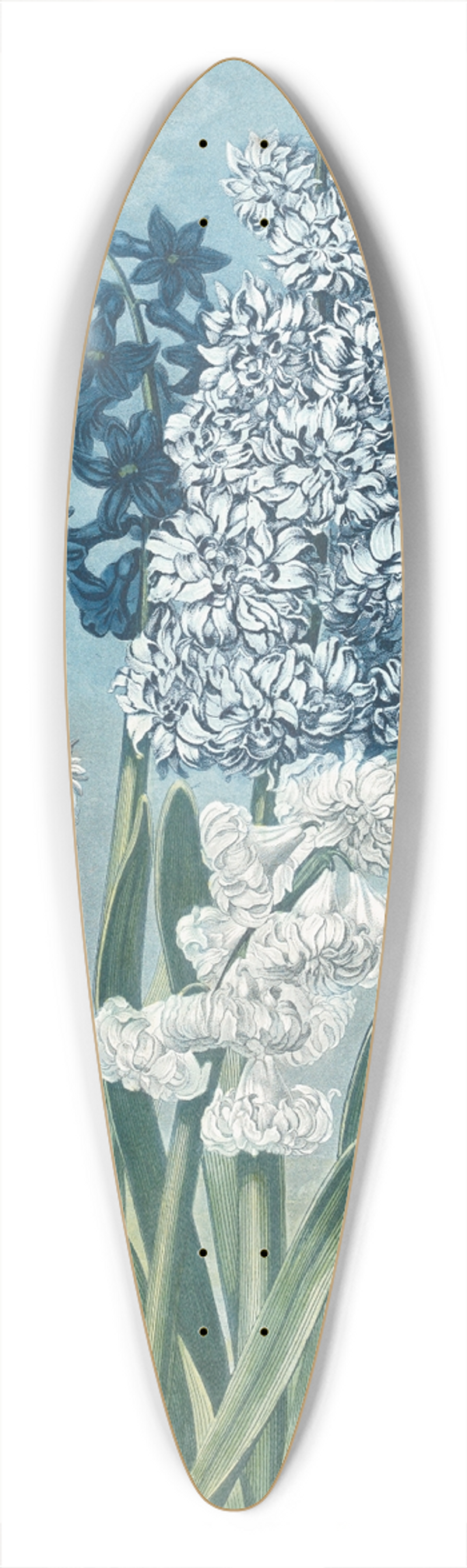 Thomas Warner - Hyacinths 39.3 inch art pintail longboard deck