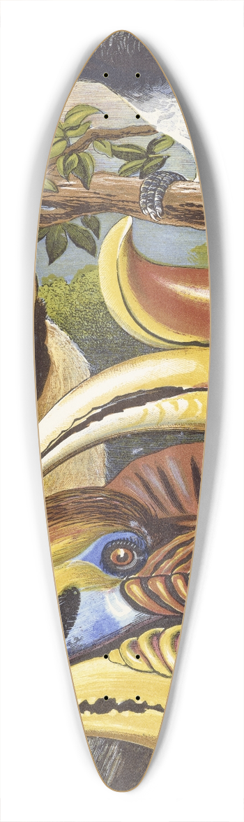 Thomas Waterman Wood - Hornbills 39.3 inch art pintail longboard deck