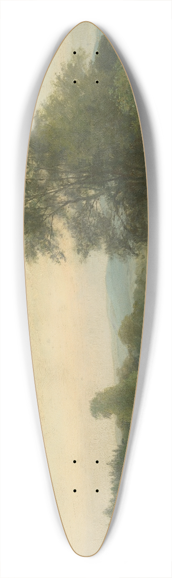 udovt ordk - Landscape with a swamp 39.3 inch art pintail longboard deck