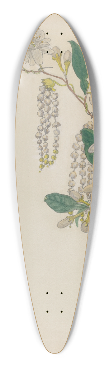Verna Tallman - Bridal Wreath 39.3 inch art pintail longboard deck