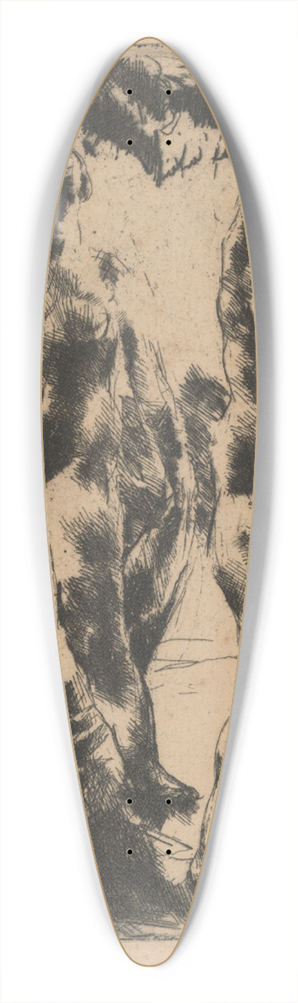 Vilmos Aba-Novk - Dvojakt v prrode 39.3 inch art pintail longboard deck
