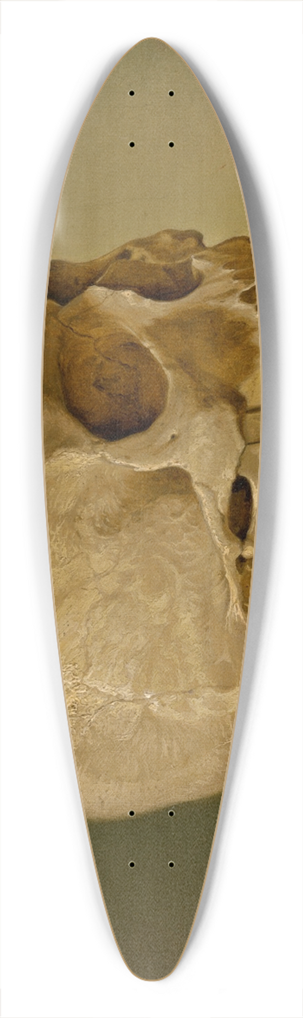 Vojtech Klimkovi - Still Life with a Skull and a Forget-Me-Not 39.3 inch art pintail longboard deck
