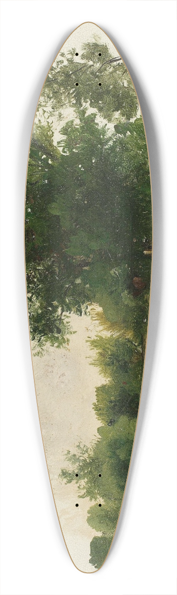 Wadysaw Podkowiski - View of Saska Kpa 39.3 inch art pintail longboard deck