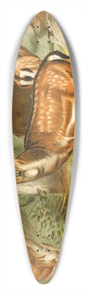 Wilhelm Kuhnert - Fallow Deer 39.3 inch art pintail longboard deck