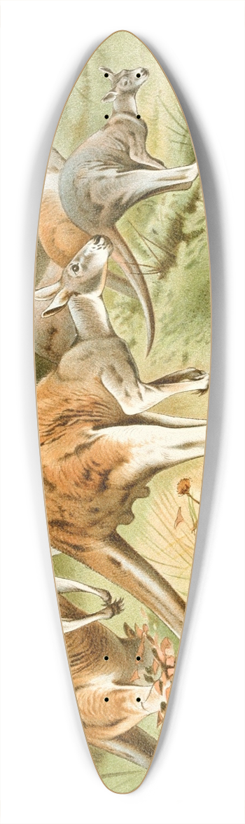 Wilhelm Kuhnert - The Red Kangaroo 39.3 inch art pintail longboard deck