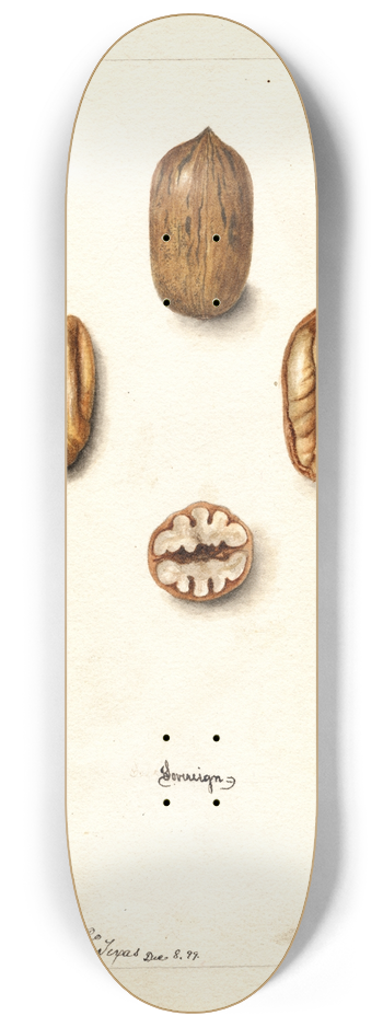 Deborah Griscom Passmore - Carya illinoinensis: Sovereign 8.25 inch art skate deck