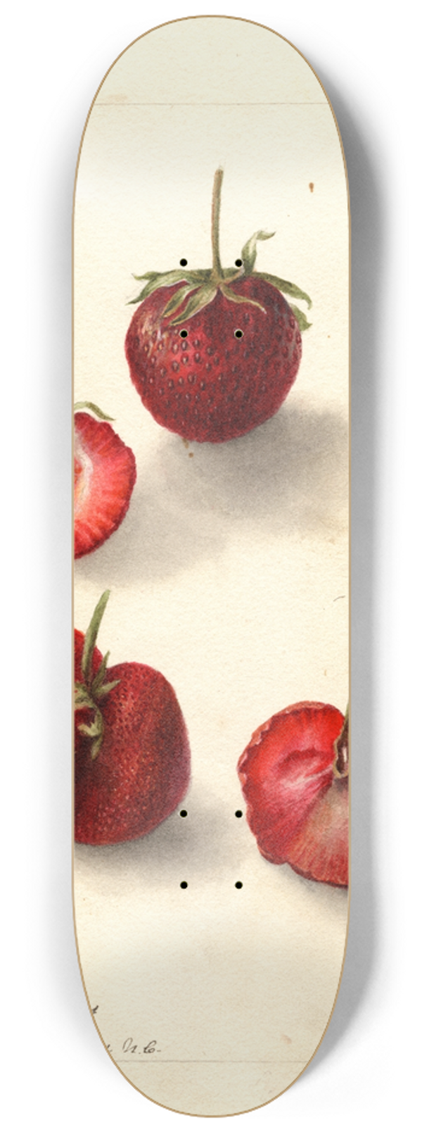 Deborah Griscom Passmore - Fragaria: Maynor 8.25 inch art skate deck