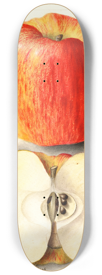 Deborah Griscom Passmore - Malus domestica: Spokane 8.25 inch art skate deck