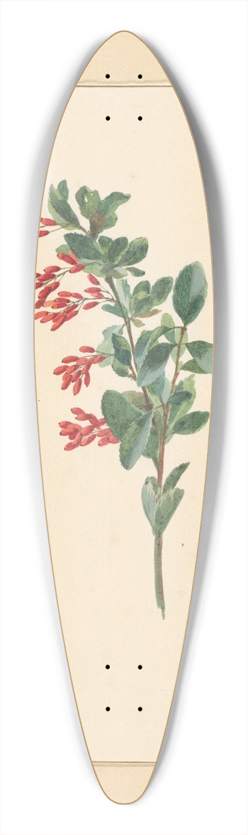 Willem van Leen - Tak van een zuurbes 39.3 inch art pintail longboard deck