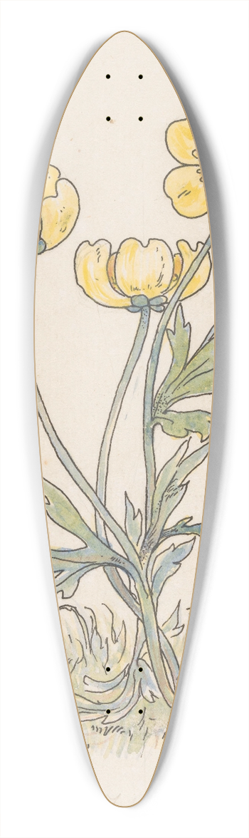 Willem Wenckebach - Boterbloemen 39.3 inch art pintail longboard deck