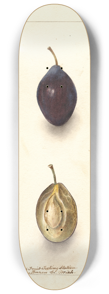 Deborah Griscom Passmore - Prunus domestica: Splendor 8.25 inch art skate deck