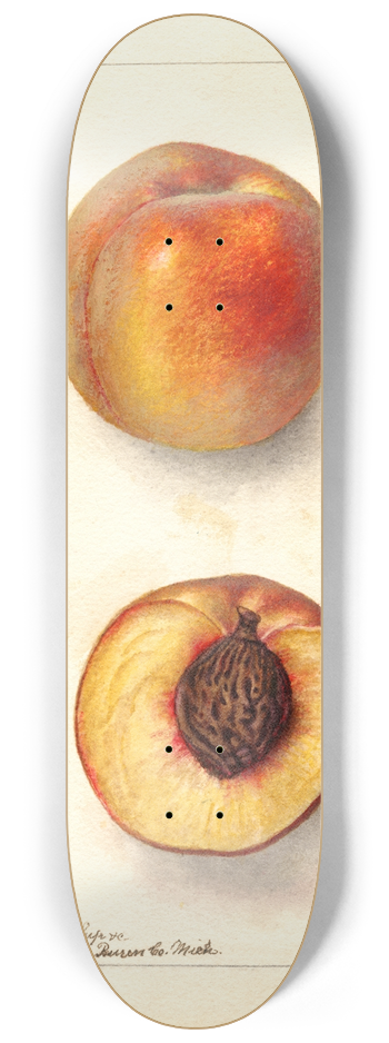 Deborah Griscom Passmore - Prunus persica: Worthen 8.25 inch art skate deck