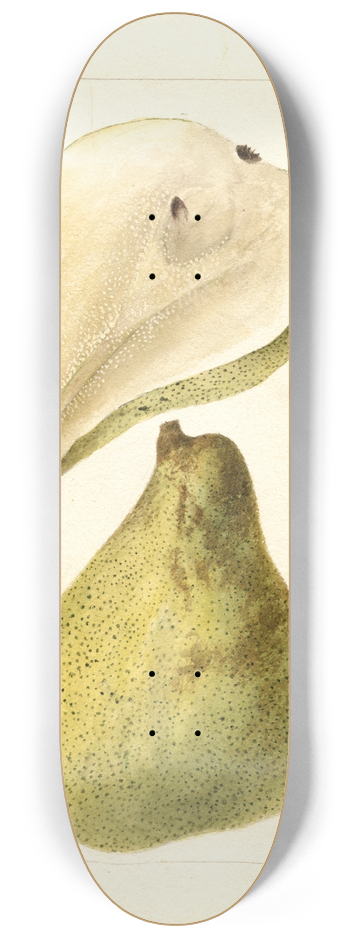Deborah Griscom Passmore - Pyrus communis: Arbre Courbe 8.25 inch art skate deck