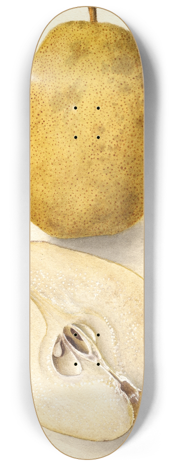 Deborah Griscom Passmore - Pyrus communis: Kieffer 8.25 inch art skate deck