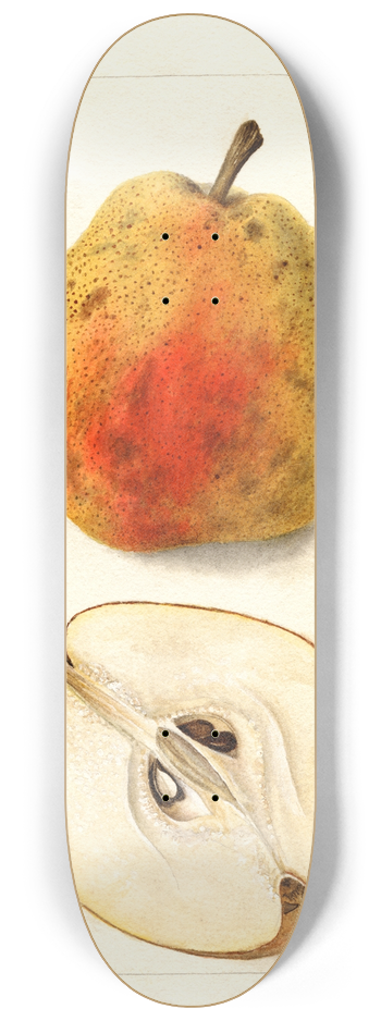 Deborah Griscom Passmore - Pyrus communis: Kieffer 8.25 inch art skate deck