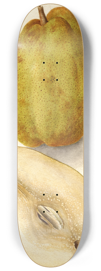 Deborah Griscom Passmore - Pyrus communis: Kieffer 8.25 inch art skate deck
