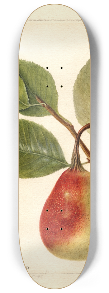 Deborah Griscom Passmore - Pyrus communis: Summer Beauty 8.25 inch art skate deck