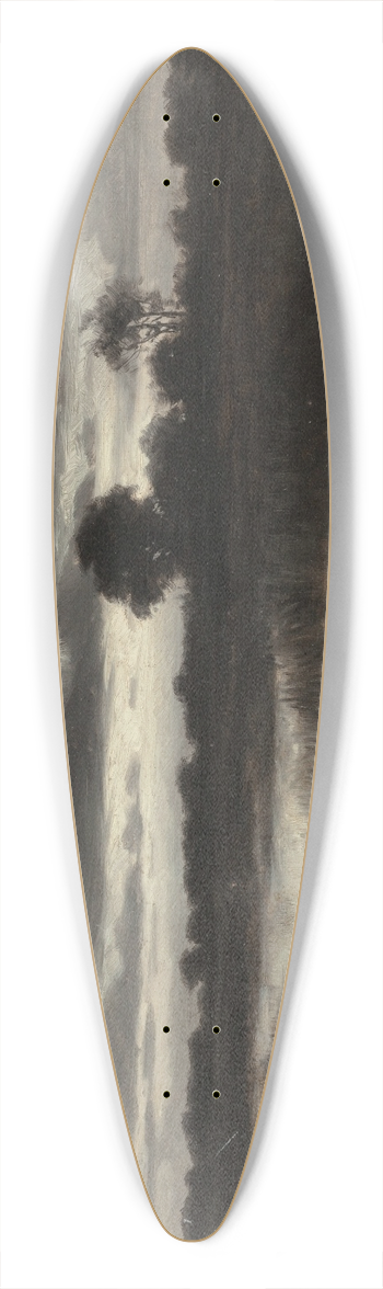 William Crothers Fitler - In the Marshes 39.3 inch art pintail longboard deck