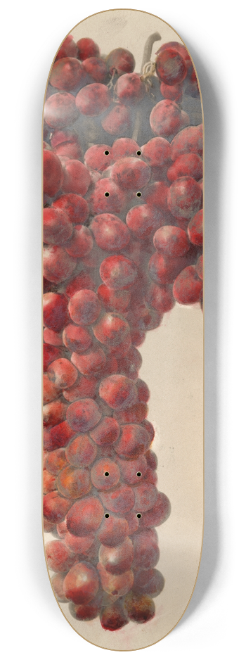 Deborah Griscom Passmore - Vitis: Sultanina Rosea 8.25 inch art skate deck