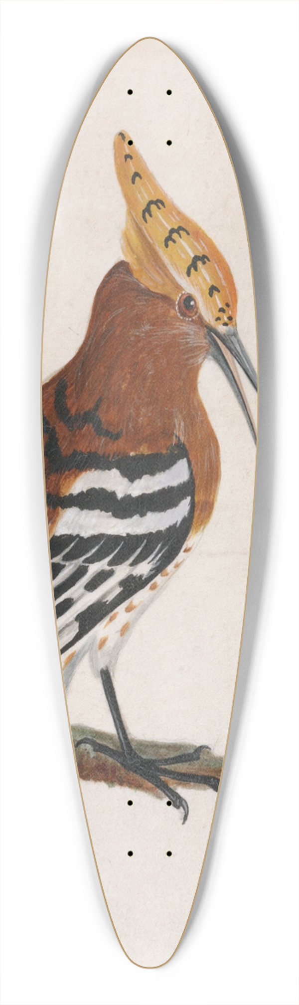 William Lewin - Common Hoopoe 39.3 inch art pintail longboard deck