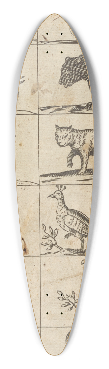 William Salmon - Plate XVI: Illustrations of various animals 39.3 inch art pintail longboard deck