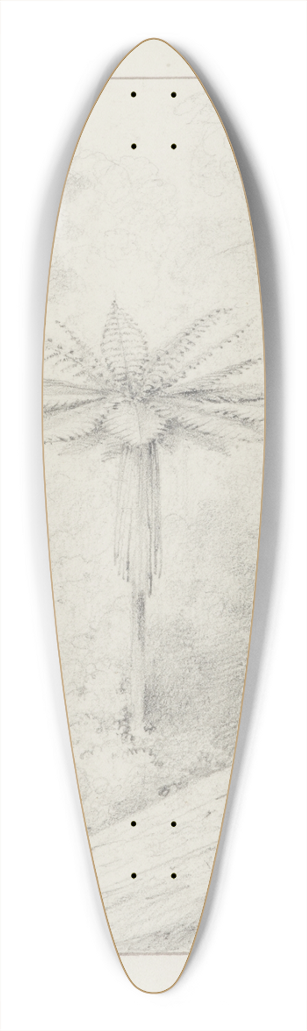 William Swainson - Soft leaved tree fern, Upper Hutt 39.3 inch art pintail longboard deck
