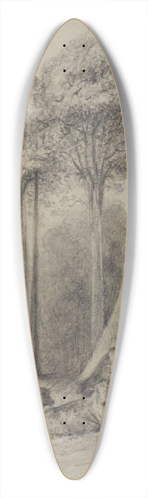 William Swainson - White pines, Hutt Forest 39.3 inch art pintail longboard deck