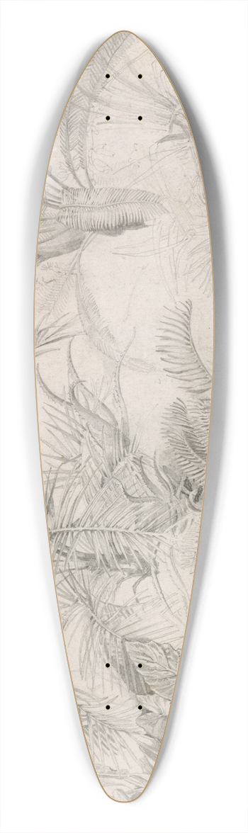 William Trost Richards - Palms 39.3 inch art pintail longboard deck