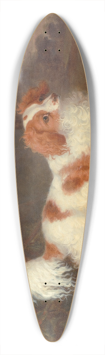 William Webb - A Blenheim Spaniel 39.3 inch art pintail longboard deck