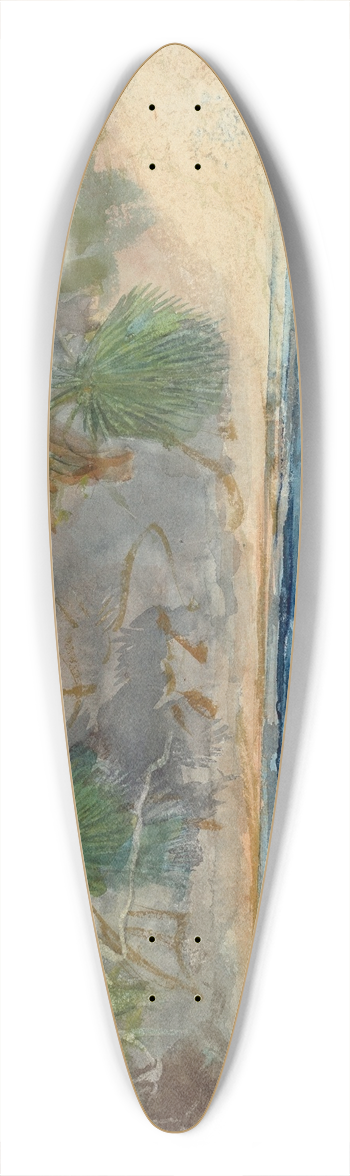 Winslow Homer - Blue Spring, Florida 39.3 inch art pintail longboard deck