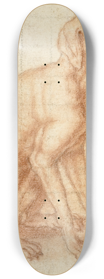 Dirk Valkenburg - Retriever 8.25 inch art skate deck