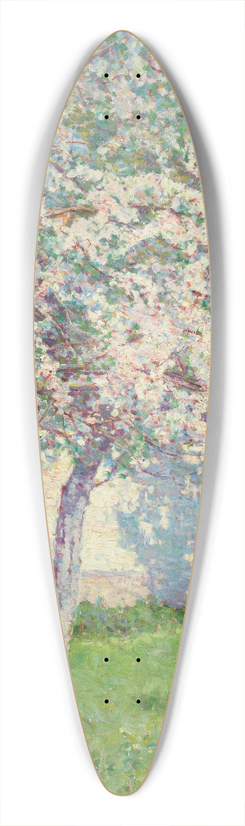Wynford Dewhurst - A sunny ciel from France 39.3 inch art pintail longboard deck