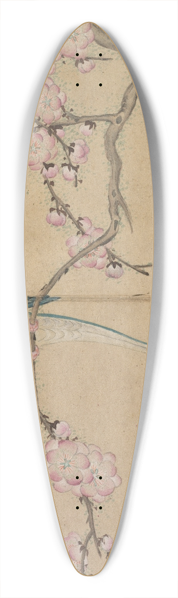 Zhang Ruoai - Bird with Plum Blossoms 39.3 inch art pintail longboard deck