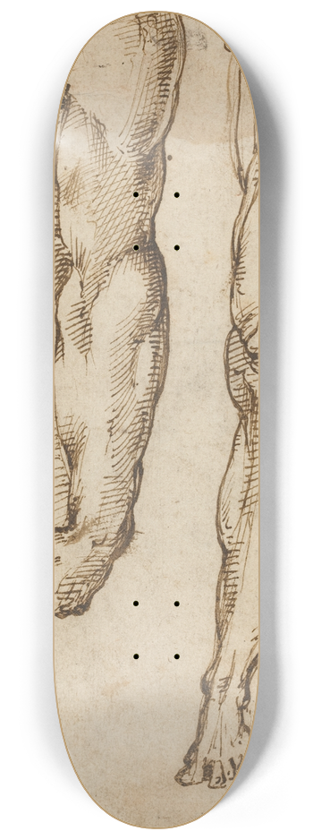 Domenico Beccafumi - Anatomical Studies 8.25 inch art skate deck