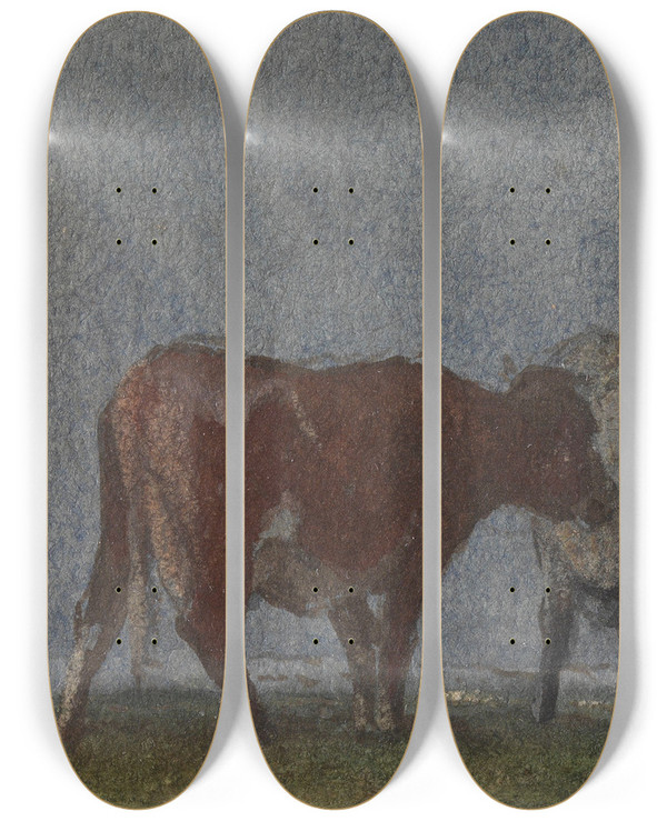 Triptych art skateboard deck of Pieter Stortenbeker Holland by Pieter Stortenbeker
